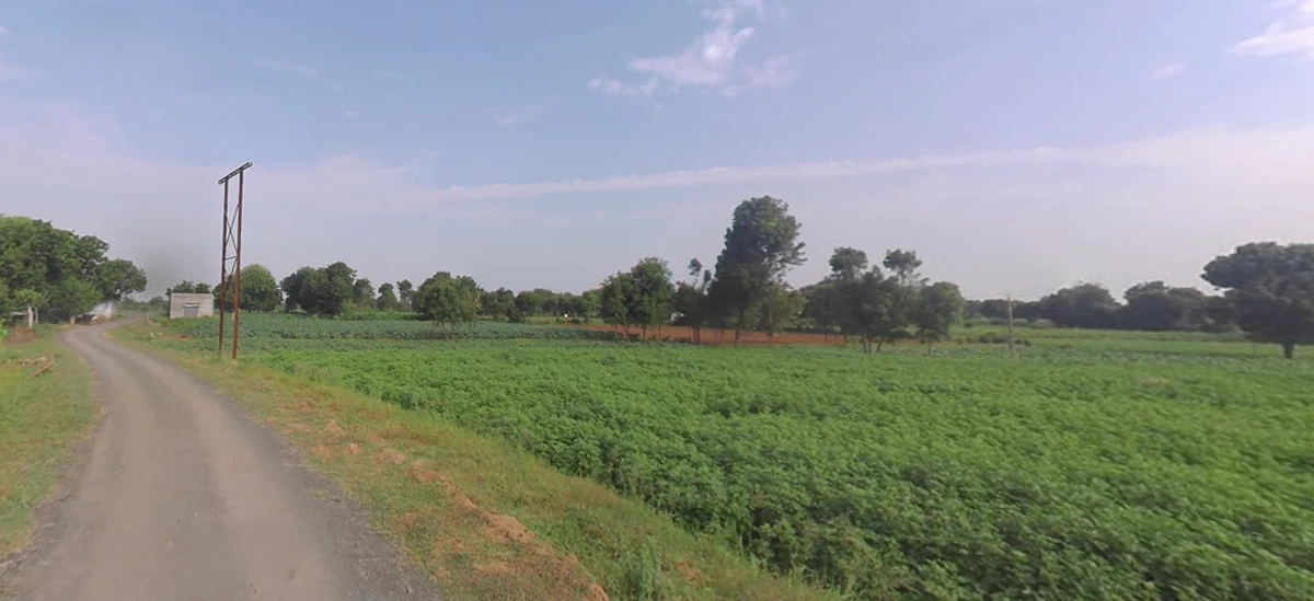 9R5C+RM Sonoli, Maharashtra, India