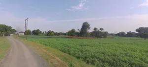 9R5C+RM Sonoli, Maharashtra, India preview 3