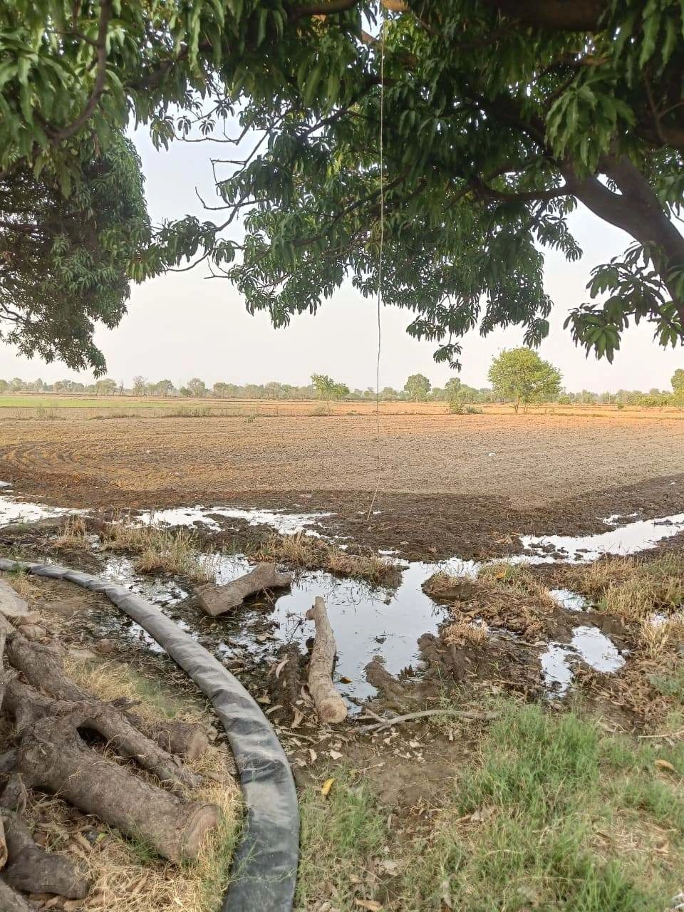 Chandauri, Uttar Pradesh, India