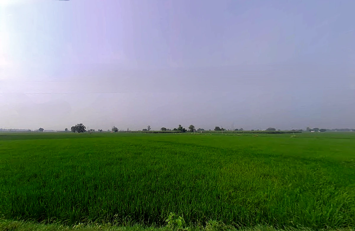 Sandhir, Haryana 132117, India