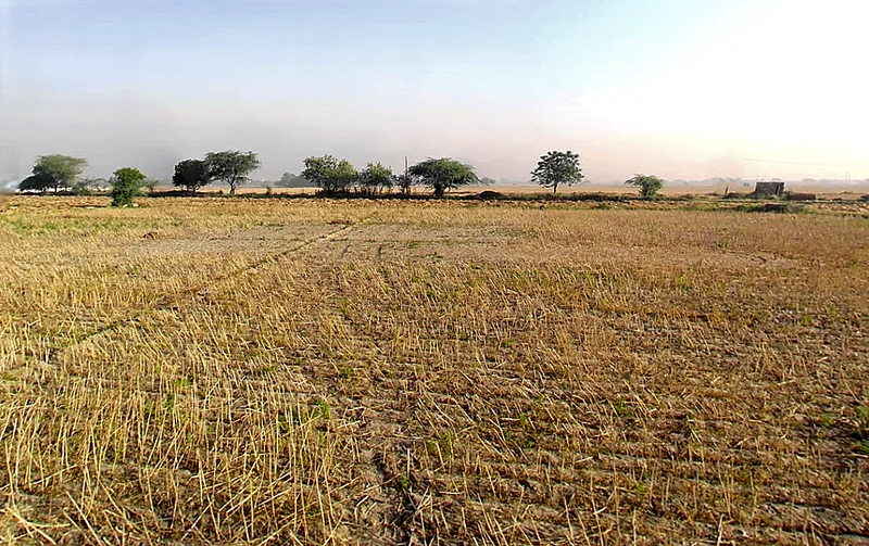 Daryapur Khurd Village, Delhi, 110073, India preview 2