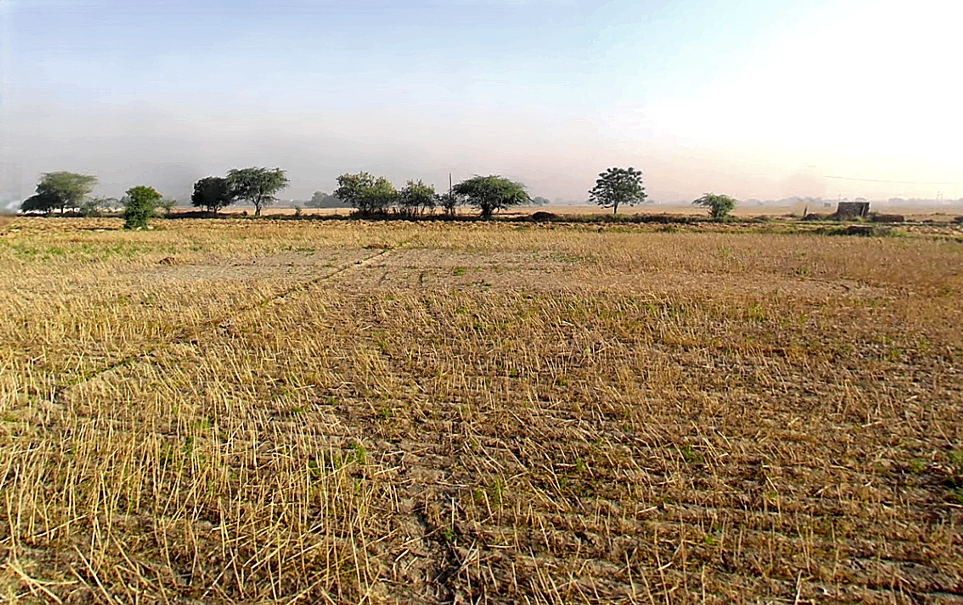 Daryapur Khurd Village, Delhi, 110073, India