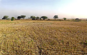 Daryapur Khurd Village, Delhi, 110073, India preview 2