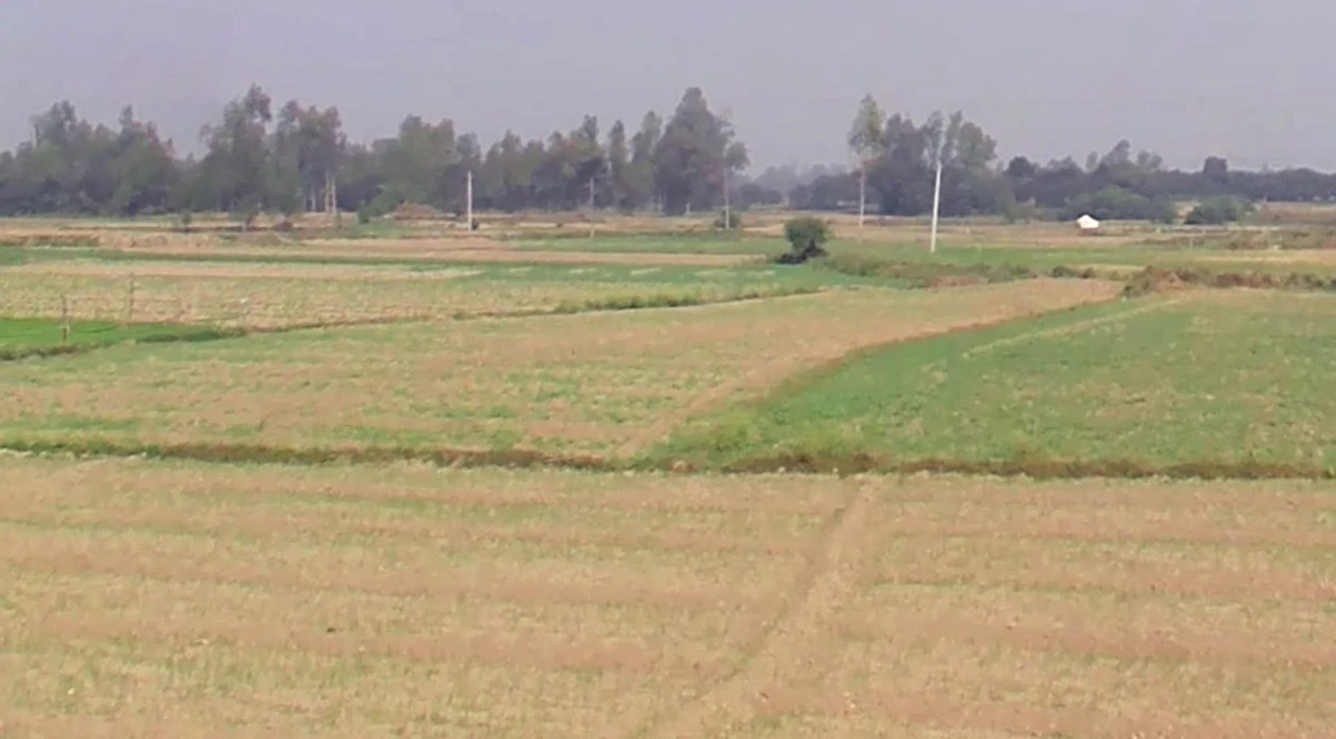 Suraiya Nagar, Madhya Pradesh 462042, India