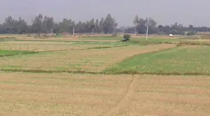 Suraiya Nagar, Madhya Pradesh 462042, India preview 2