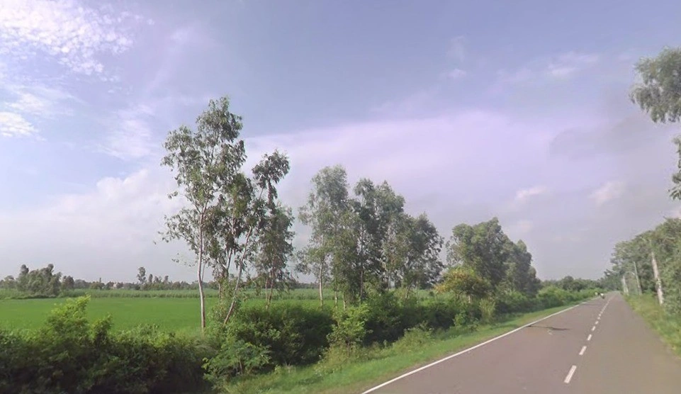 Dalpatpur, Uttar Pradesh 244104, India