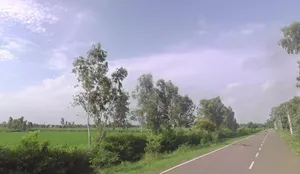 Dalpatpur, Uttar Pradesh 244104, India preview 2