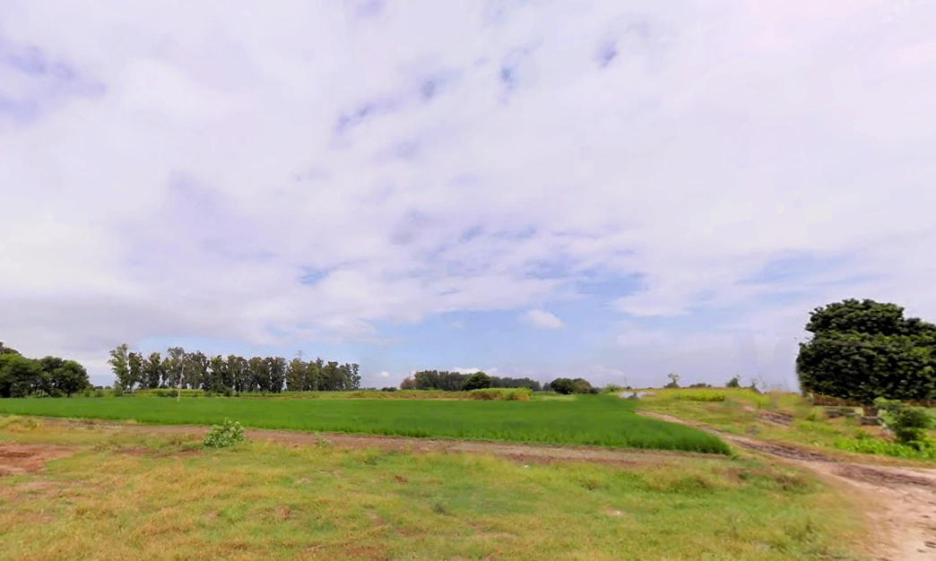 Patti Kalyana, Haryana 132102, India