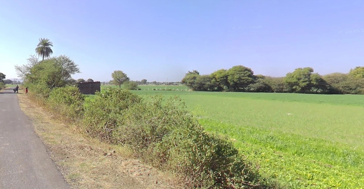 Kanadiya, Madhya Pradesh 452016, India