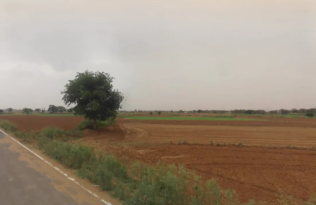 Sondh, Haryana 122105, India preview 3