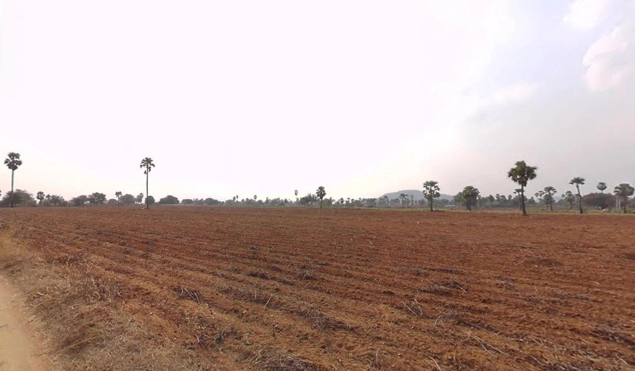 JXCP+XJ Tallagudem, Telangana, India