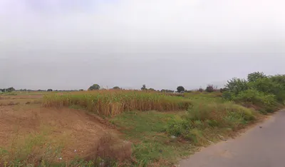 Kheri, Haryana 123027, India preview 2