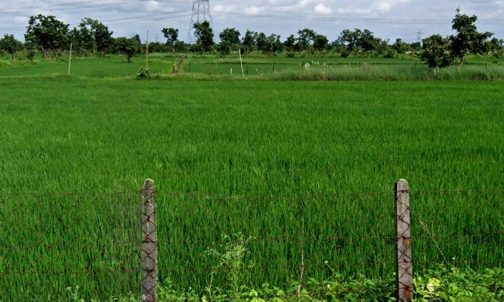 Temari, Chhattisgarh 495334, India