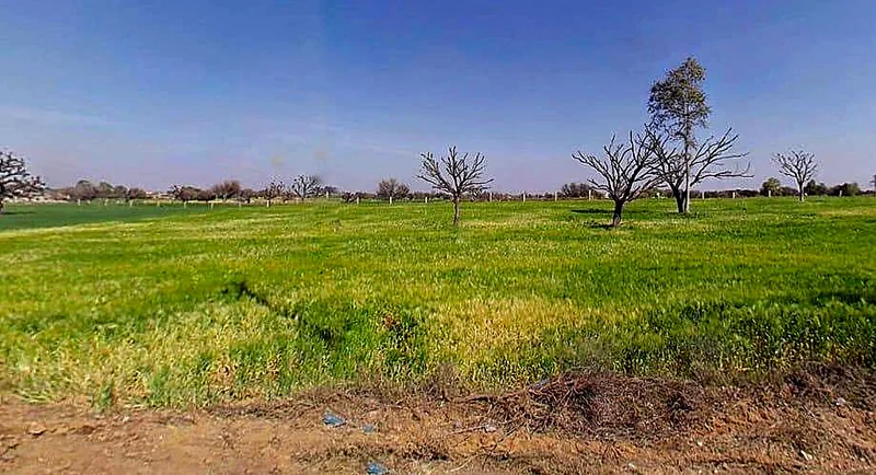 Aloda, Rajasthan 332602, India preview 2