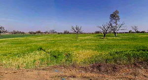 Aloda, Rajasthan 332602, India preview 2