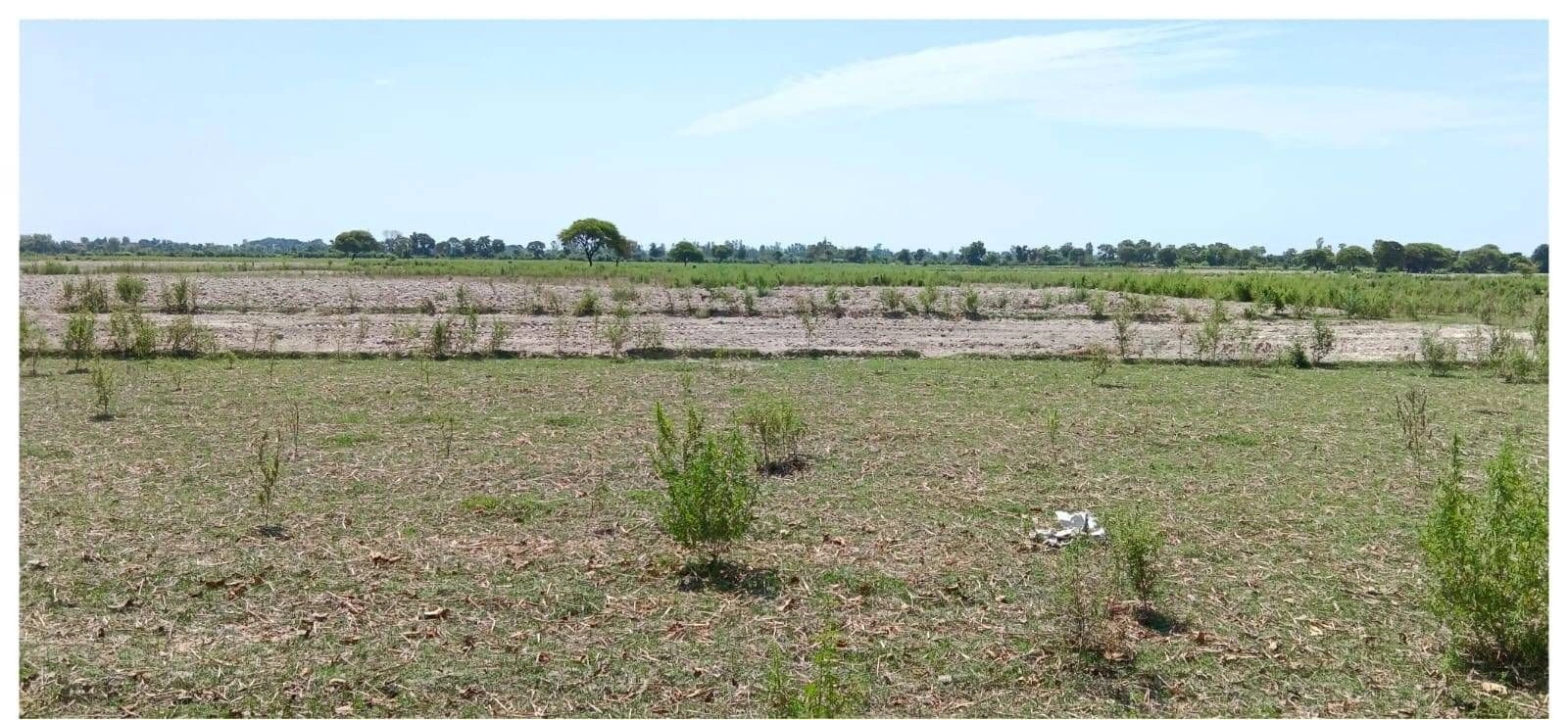 G6RX+7G Kewlapur Urf Takminpur, Uttar Pradesh, India