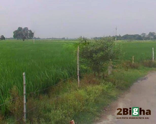 Rania, Uttar Pradesh, India