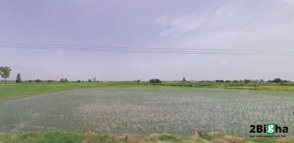 7Q8H+JRJ, Jalbera Rd, Majri, Haryana 133008, India