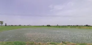 7Q8H+JRJ, Jalbera Rd, Majri, Haryana 133008, India preview 3