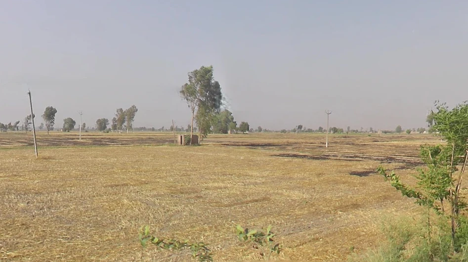 Rajpura, Punjab, India