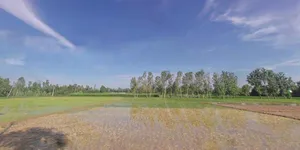 Puwarka, Saharanpur, Uttar Pradesh 247001, India preview 3