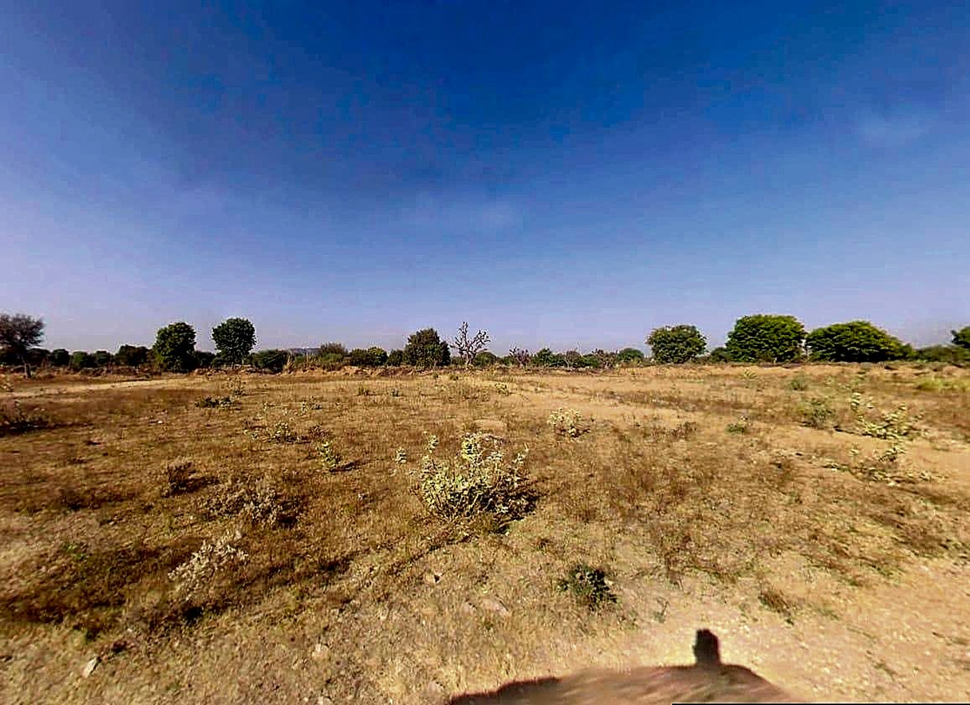 WC29+9JH, Asalpur, Rajasthan 303328, India