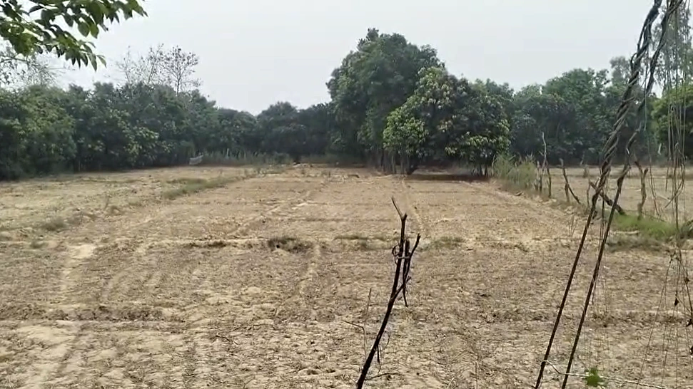 WQCJ+83Q, Malihabad, Uttar Pradesh 226102, India