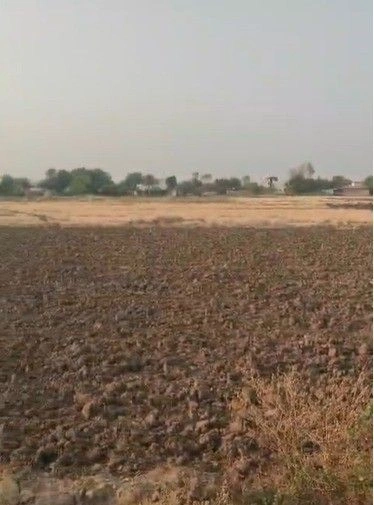 P3J2+3WW, Ankya, Madhya Pradesh 452016, India