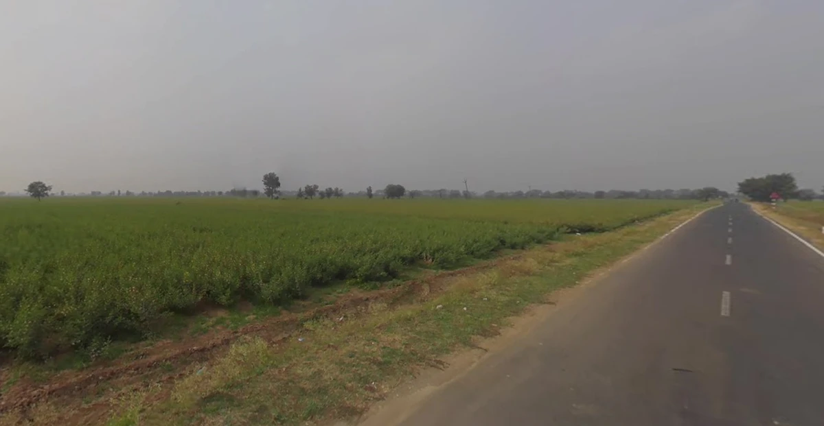 Lakadiya, Gujarat, India