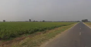 Lakadiya, Gujarat, India preview 2