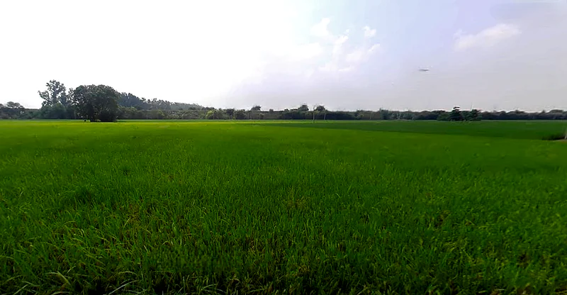 Sarai Banjara, Punjab 140402, India preview 3