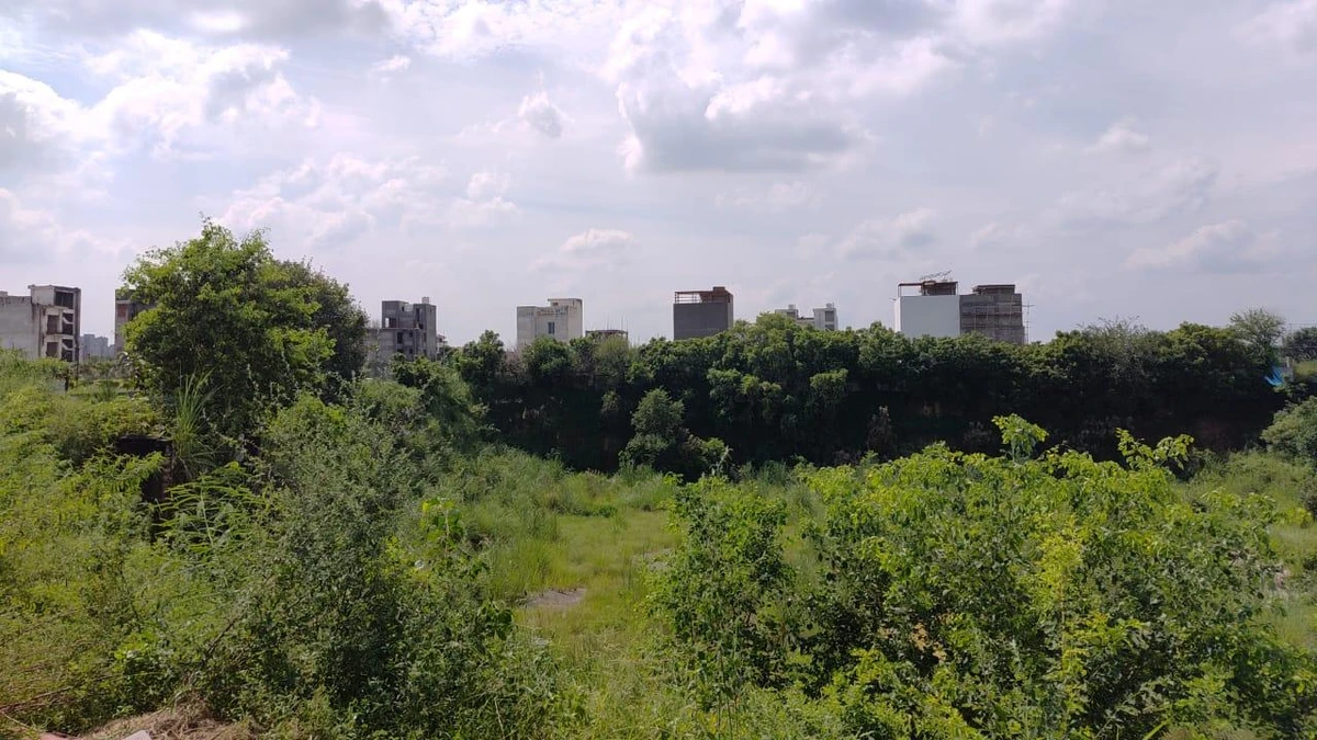Raj Nagar Extension, Ghaziabad, Uttar Pradesh 201003, India