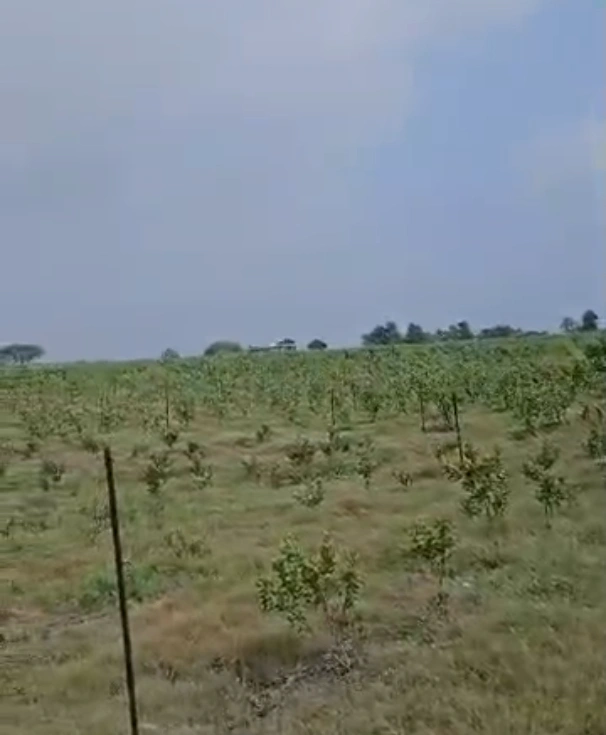 C9WJ+JX Dadiya, Ujjain, Madhya Pradesh, India