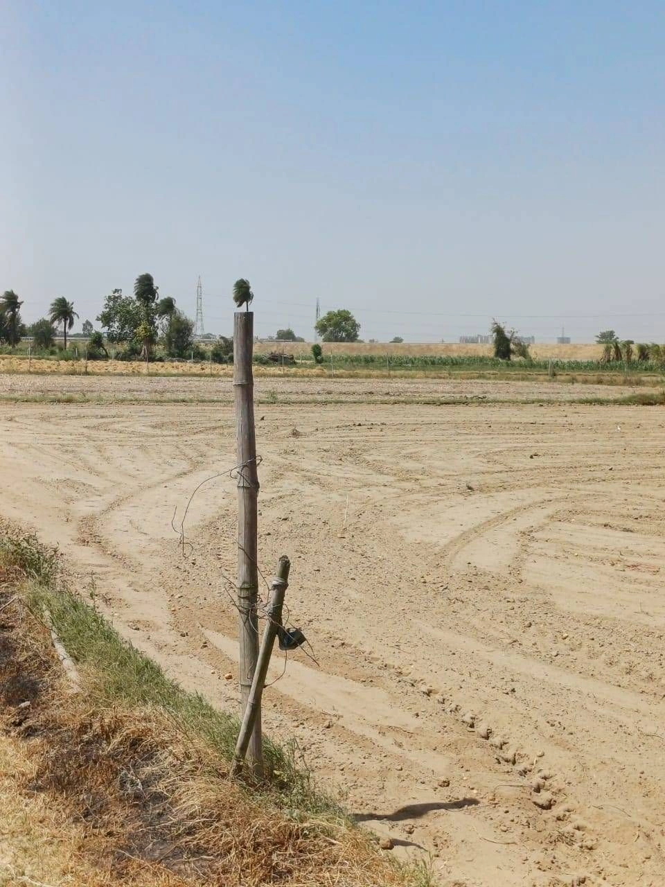 Sardhana, Uttar Pradesh 250342, India