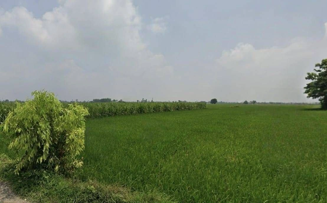 Ratibad, Madhya Pradesh 462044, India