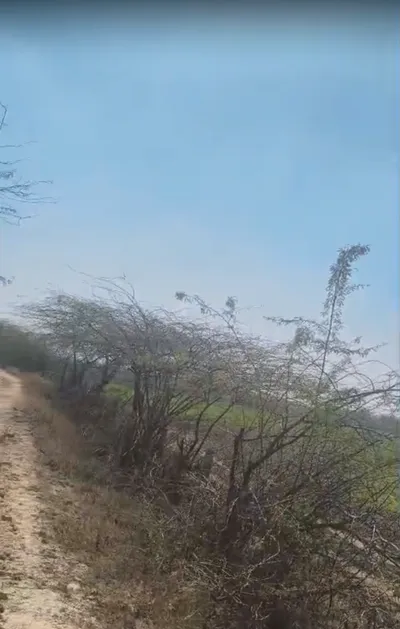 77PV+88 Kantoli, Rajasthan, India preview 2