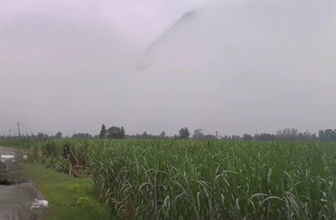 Chhapar, Uttar Pradesh 251307, India