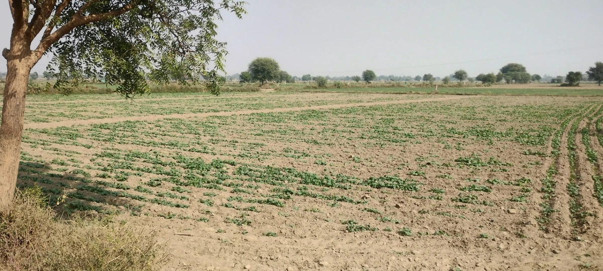 Ghat, Rajasthan, India