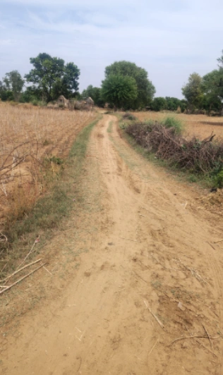 8HPR+FJ Parasrampura, Sikar, Rajasthan, India