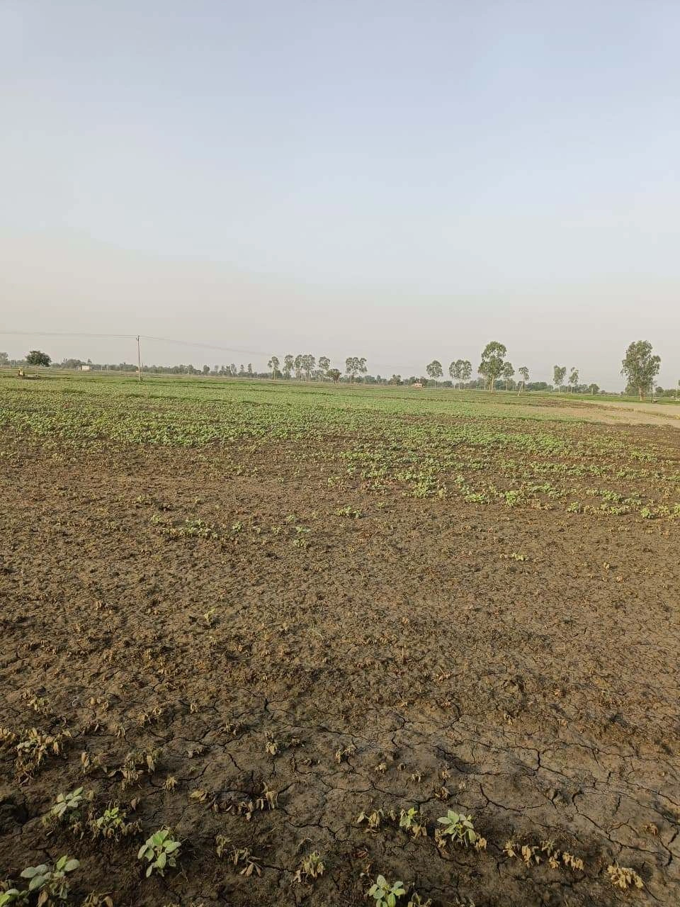 Tentigaon, Uttar Pradesh, India