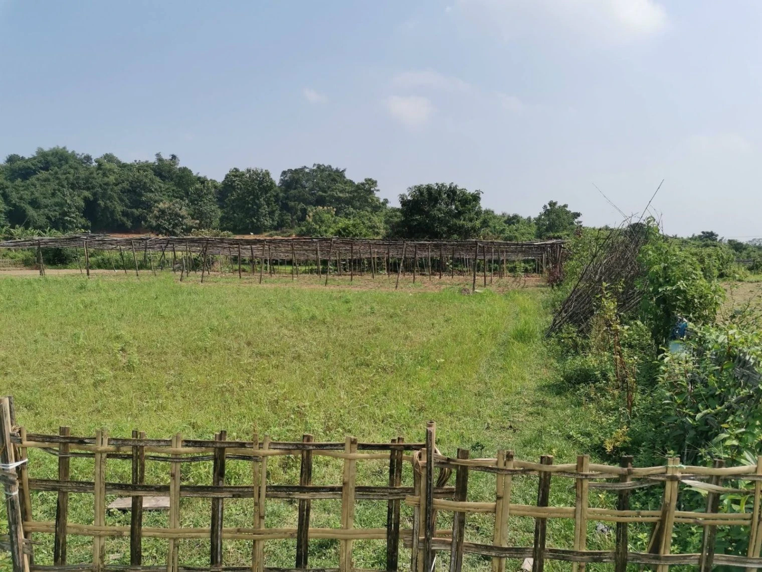 Dharmawala, Herbertpur, Uttarakhand 248142, India
