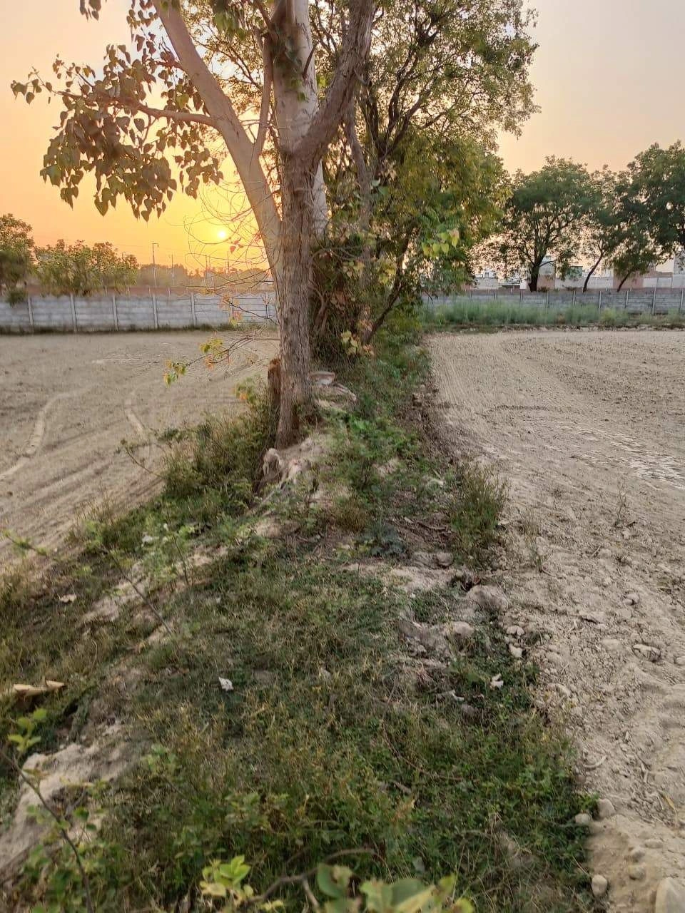 Tentigaon, Uttar Pradesh, India