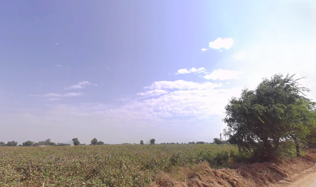 Kaluana, Haryana 125103, India