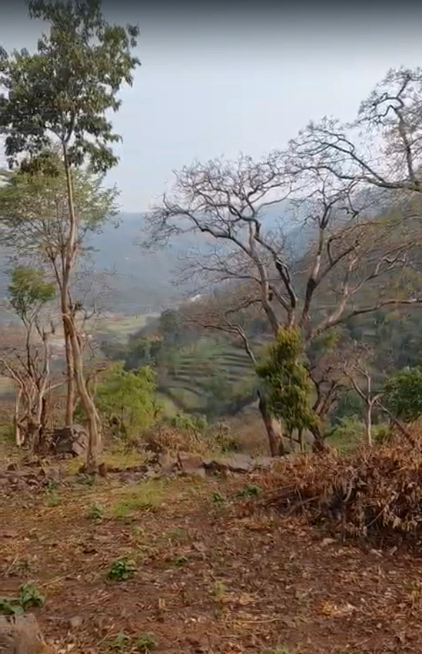 Morni Hills, Haryana, India