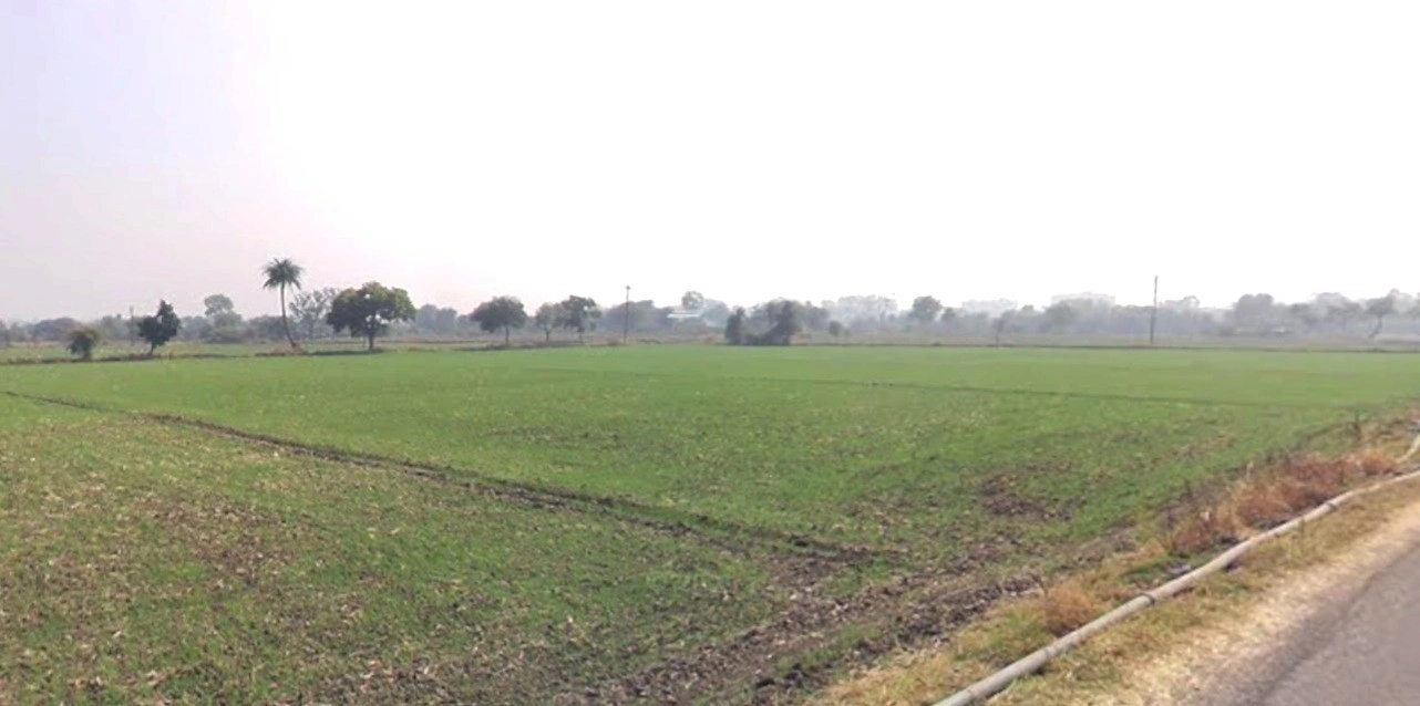 Bhopal Rd, Berasia, Madhya Pradesh, India