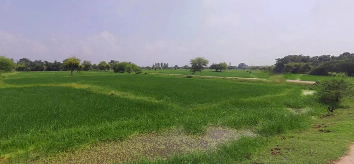 Barnagar, Madhya Pradesh 456771, India