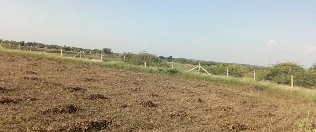 Shyampur, Uttar Pradesh 245101, India