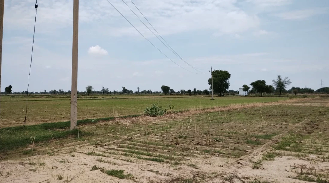 Barnagar, Madhya Pradesh 456771, India