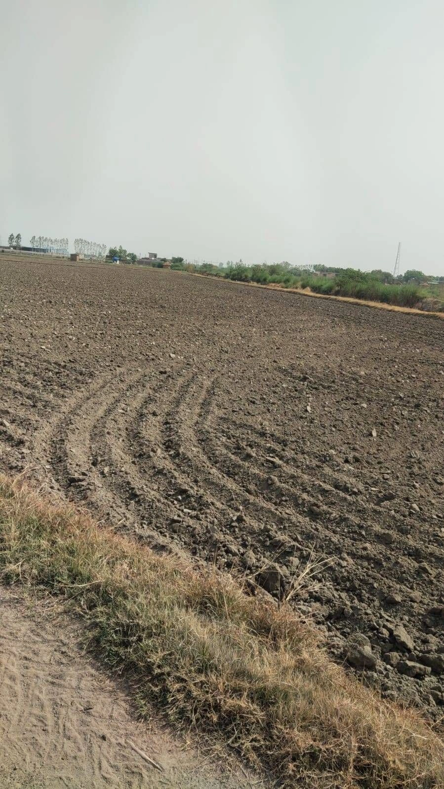 Ajijpur, Uttar Pradesh, India