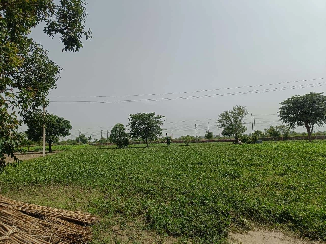 Gauhari, Uttar Pradesh 281401, India